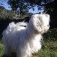 En el campo, con el pelo al viento....